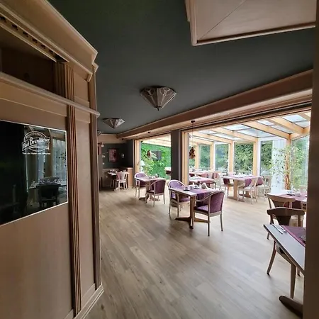 Отель Ambiente Garni Плауэн