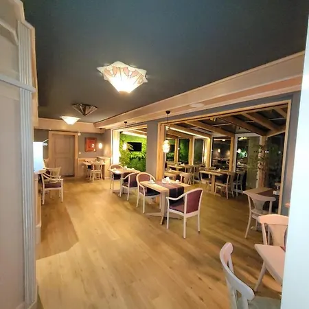 ホテル Ambiente Garni プラウエン